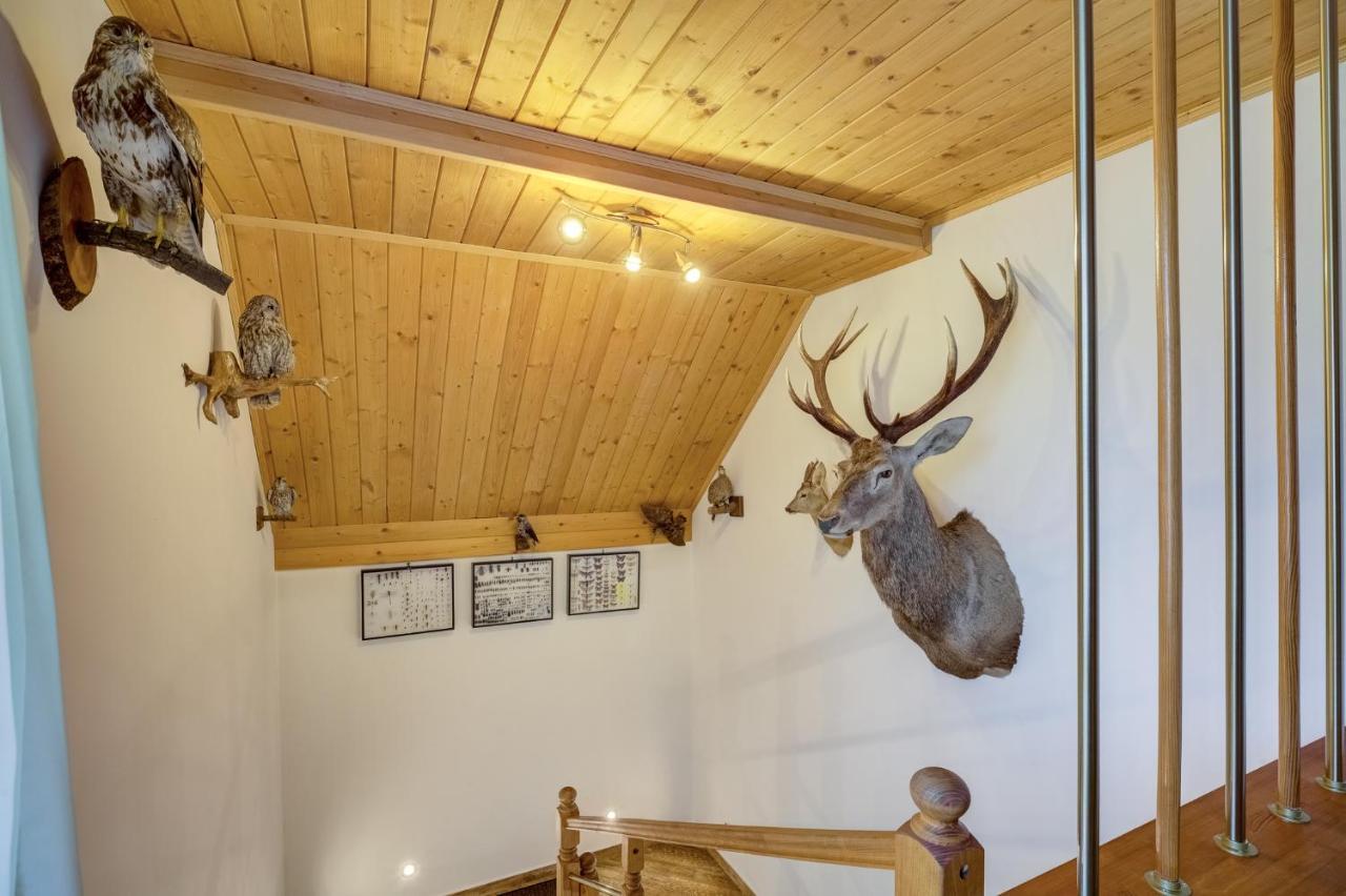 Apartamenty Szwarcowa Tylicz Kültér fotó